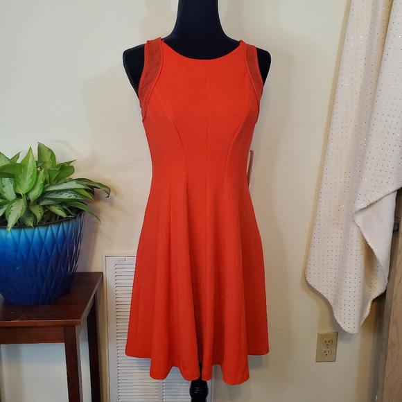 Sandra Darren Dresses & Skirts - Sandra Darren Women’s Sleeveless Solid Fit & Flare, Poppy, Size 6 -NWT